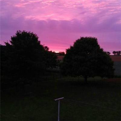 ng体育电子游戏下载手机版