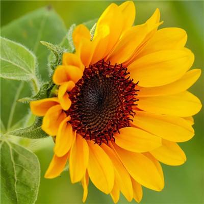 麻将胡了PG网页版截图